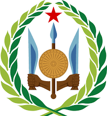 Defense Logo
